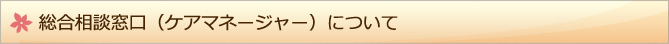 総合相談窓口（ケアマネージャー）について