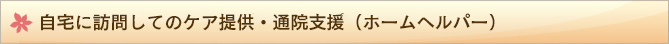 自宅に訪問してのケア提供・通院支援（ホームヘルパー）