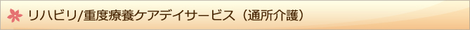 リハビリ/重度療養ケアデイサービス（通所介護）