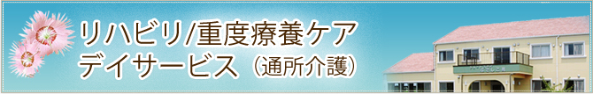 リハビリ/重度療養ケアデイサービス（通所介護）